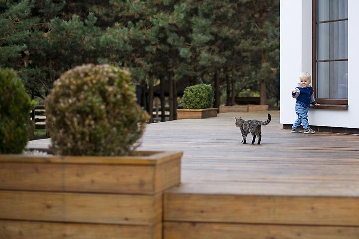 Villa Modra Sikorka Smardzewice Esterno foto